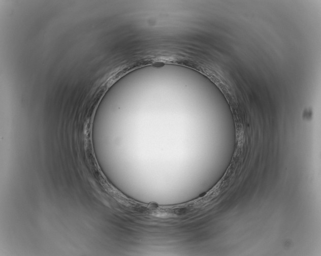 X0000090700360200707200934