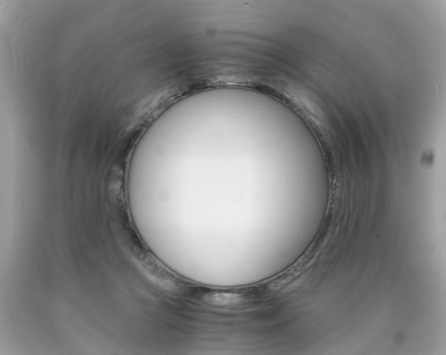 X0000090700361200707200934