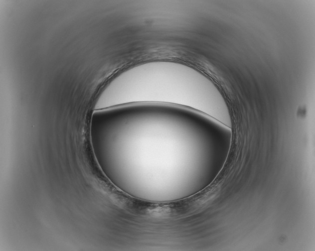 X0000090700362200707200934