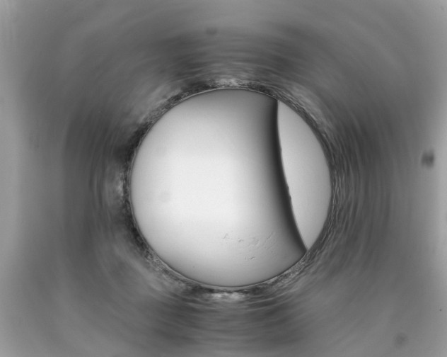 X0000090700363200707200934