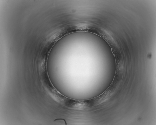 X0000090700364200707200934