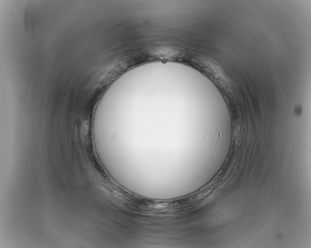X0000090700365200707200934