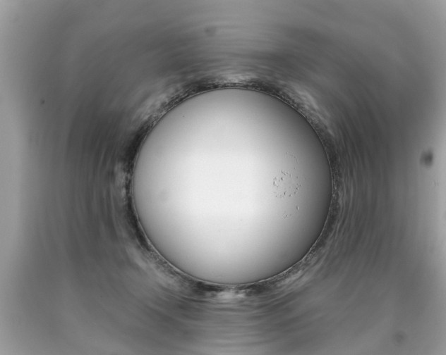 X0000090700366200707200934