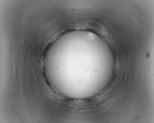 X0000090700367200707200934