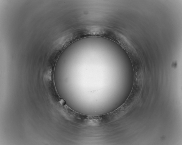 X0000090700368200707200934