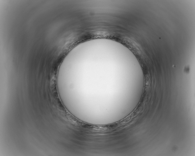 X0000090700369200707200934