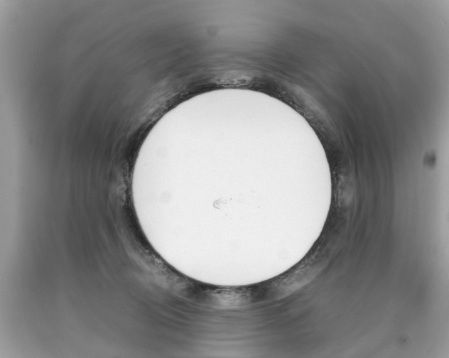 X0000090700370200707200934