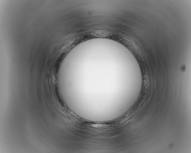 X0000090700371200707200934