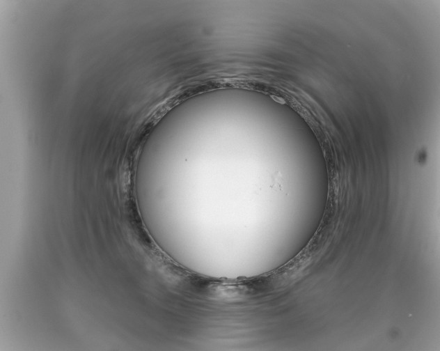 X0000090700372200707200934