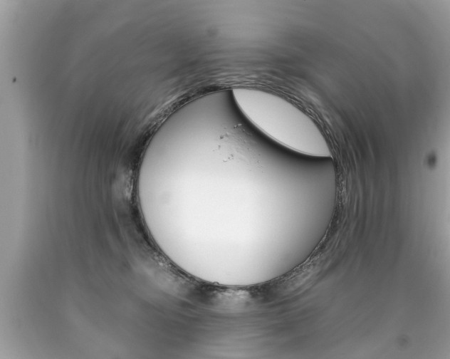 X0000090700374200707200934