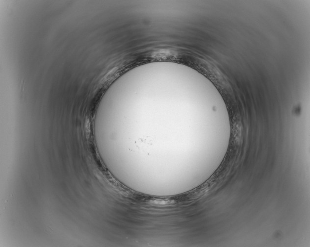 X0000090700375200707200934