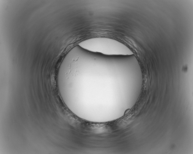 X0000090700377200707200934