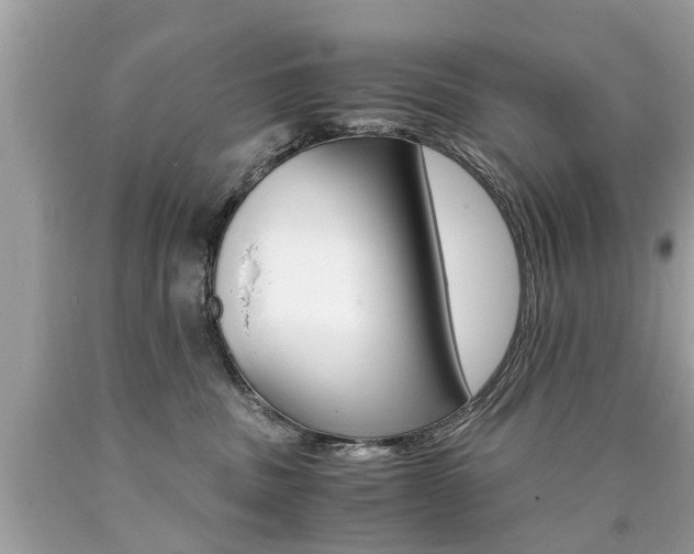 X0000090700379200707200934