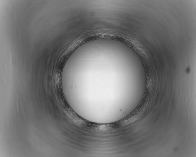 X0000090700382200707200934