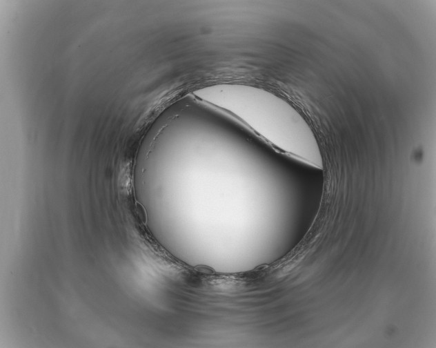 X0000090700383200707200934