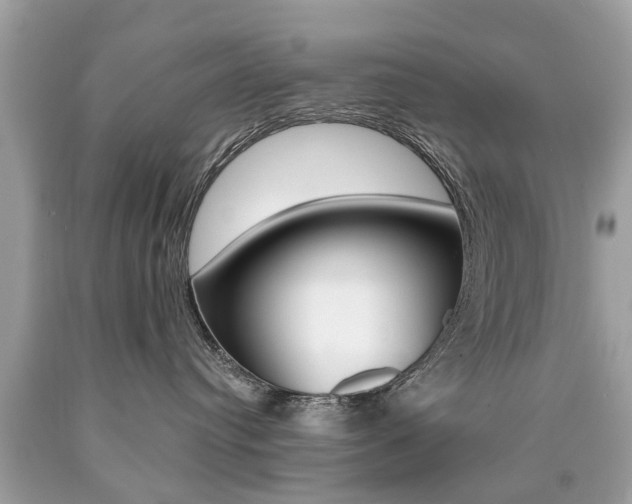 X0000090700384200707200934