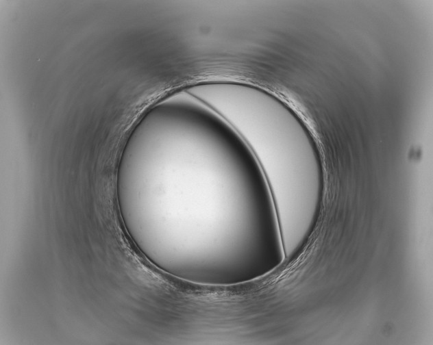 X0000090700385200707200933