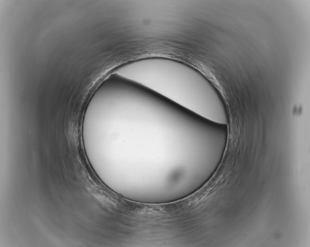X0000090700386200707200933