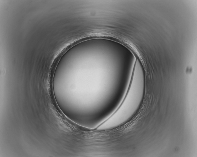 X0000090700387200707200933