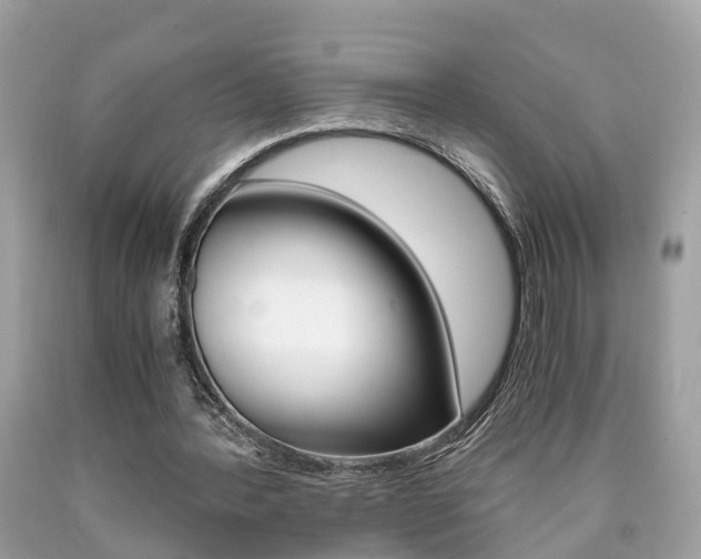 X0000090700388200707200933