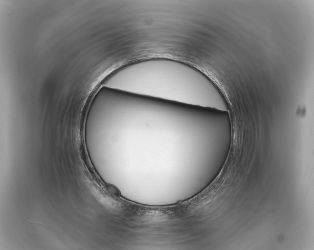 X0000090700390200707200933