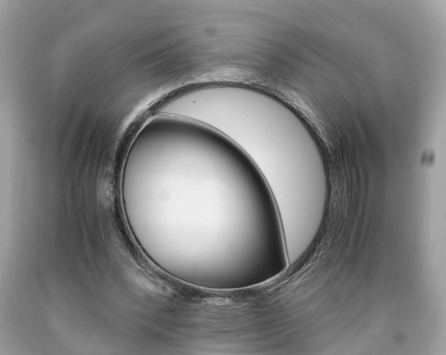 X0000090700392200707200933