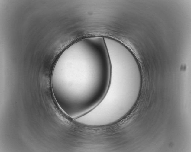 X0000090700393200707200933