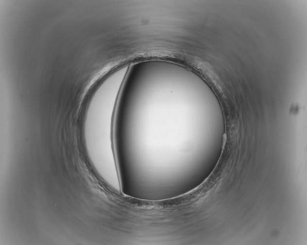 X0000090700395200707200933