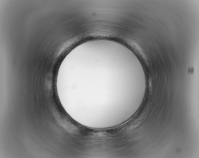X0000090700396200707200933