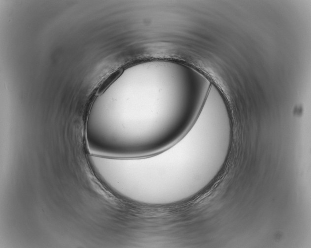 X0000090700397200707200933