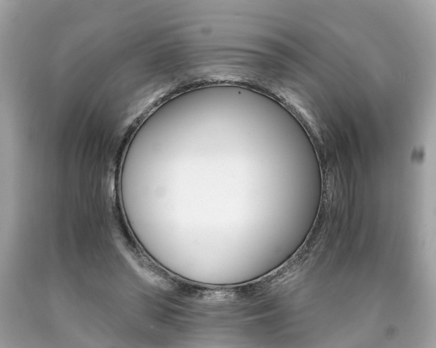 X0000090700398200707200933