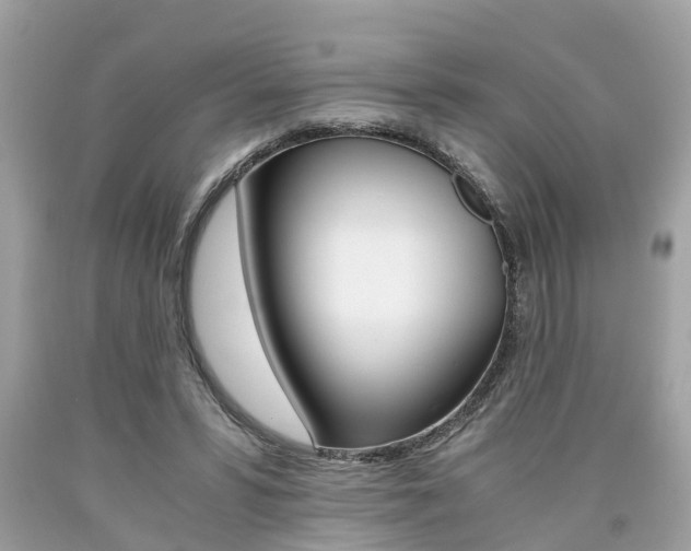X0000090700399200707200933