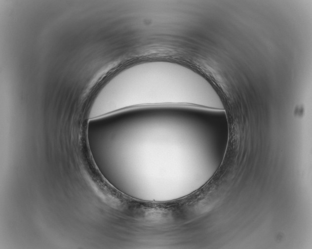 X0000090700400200707200933