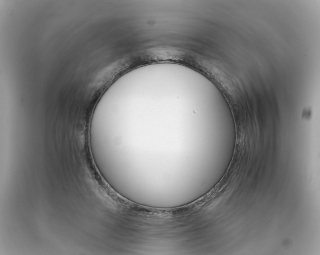 X0000090700402200707200933