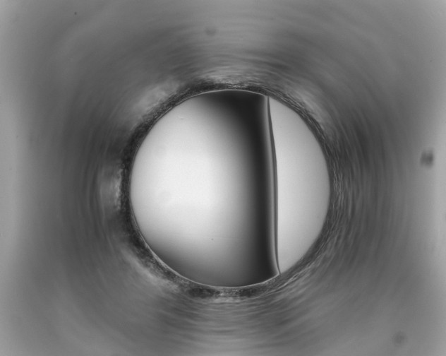 X0000090700404200707200933