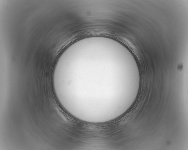 X0000090700405200707200933
