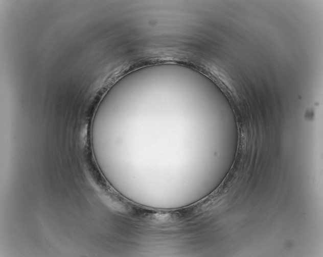 X0000090700406200707200933