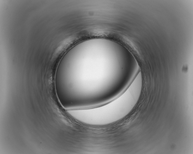 X0000090700407200707200933