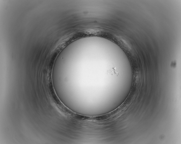 X0000090700408200707200933