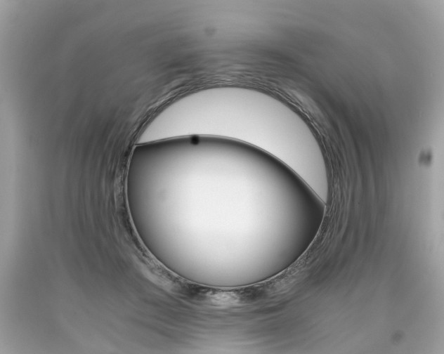 X0000090700409200707200933