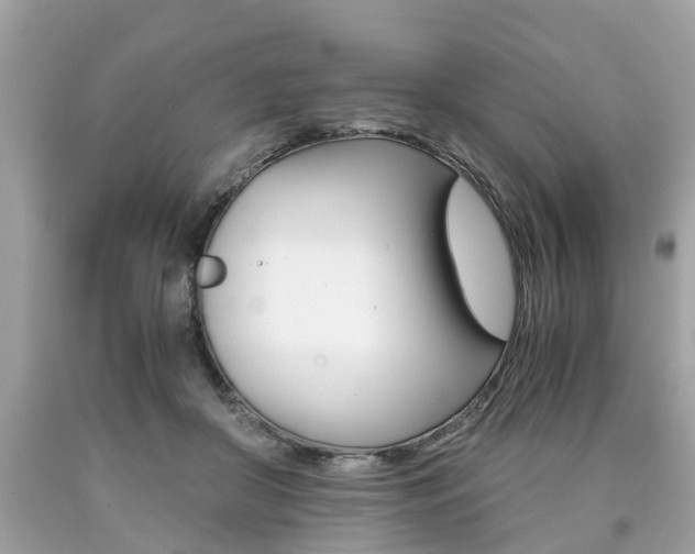 X0000090700410200707200933