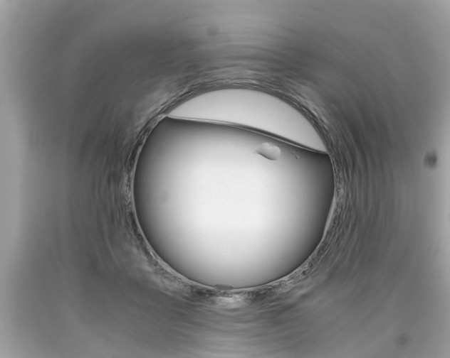 X0000090700411200707200933