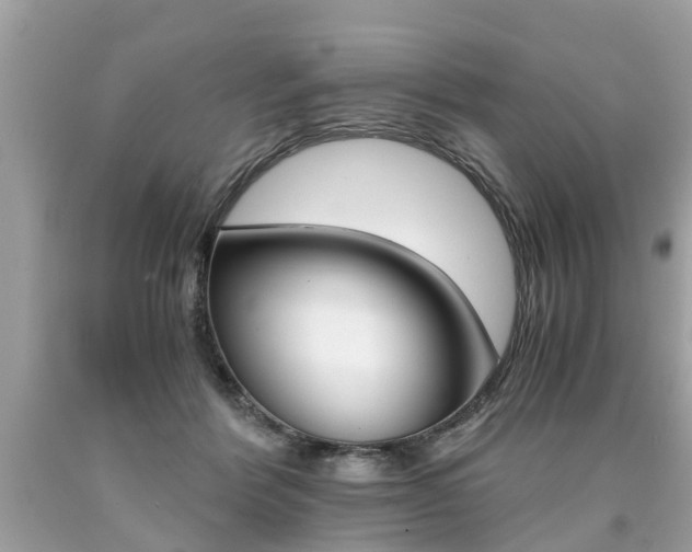 X0000090700412200707200933