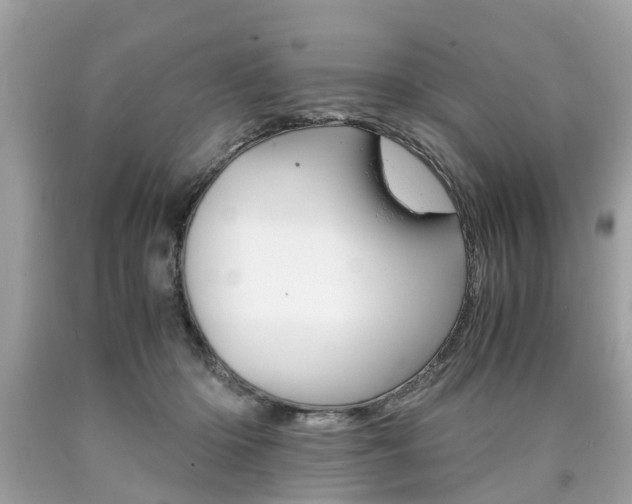 X0000090700414200707200933