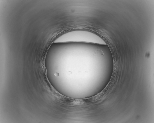 X0000090700415200707200933