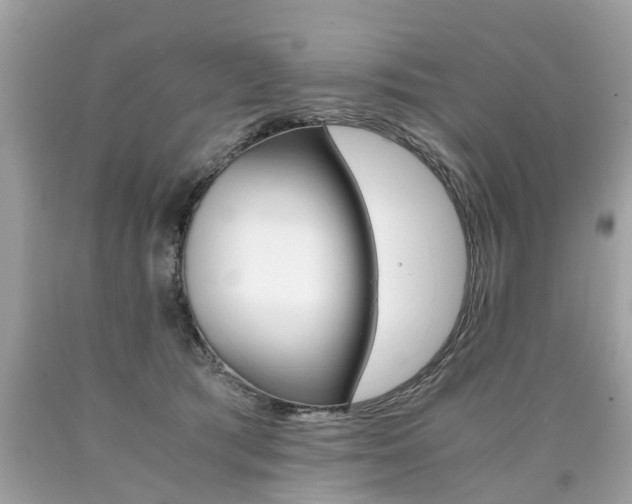 X0000090700417200707200933