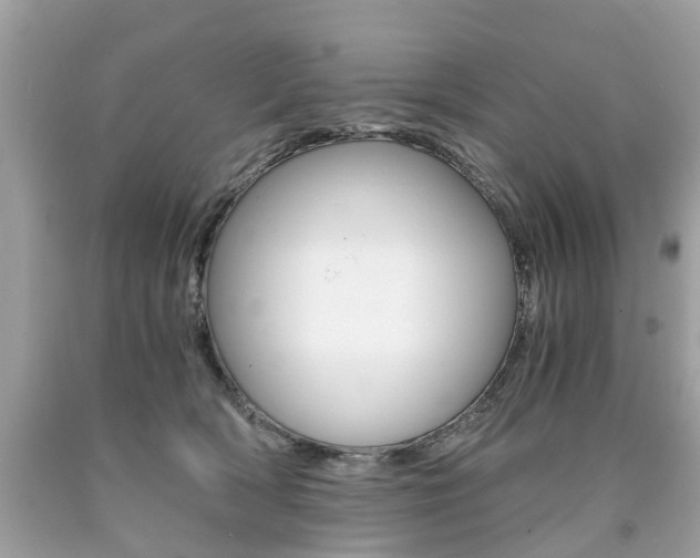 X0000090700418200707200933