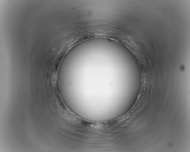 X0000090700419200707200933
