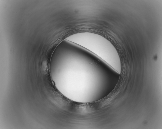X0000090700420200707200933