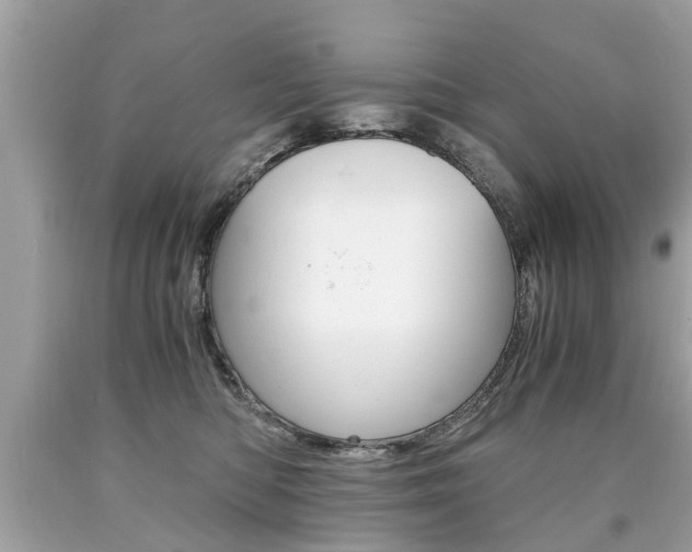X0000090700422200707200933